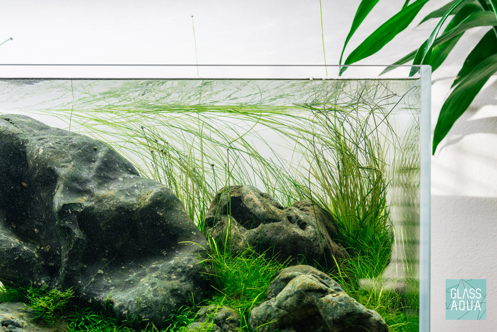 Build Your Own Aquarium Kit - Long Tank