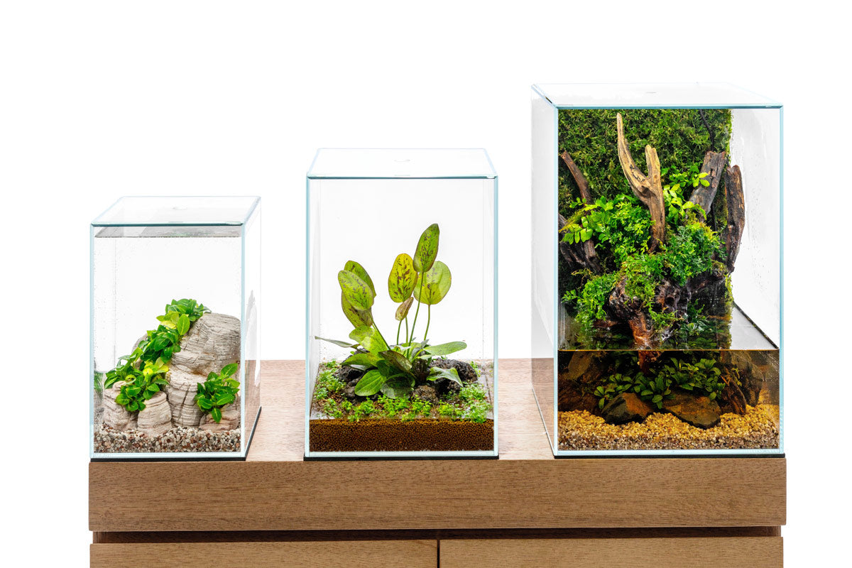 Ultum Nature Systems UNS 20TM 25TM 30TM Prism Paludarium Terrarium Aquarium Planter 