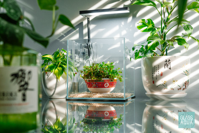 UNS Rimless Cube Glass Aquarium Tank - Glass Aqua
