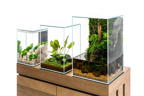 UNS Prism Glass Aquarium with Glass Lid | Planted Tank & Terrariums