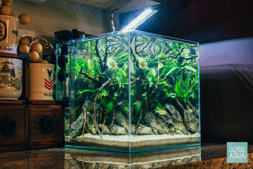 Build Your Own Beginner Aquarium Kit - Glass Aqua