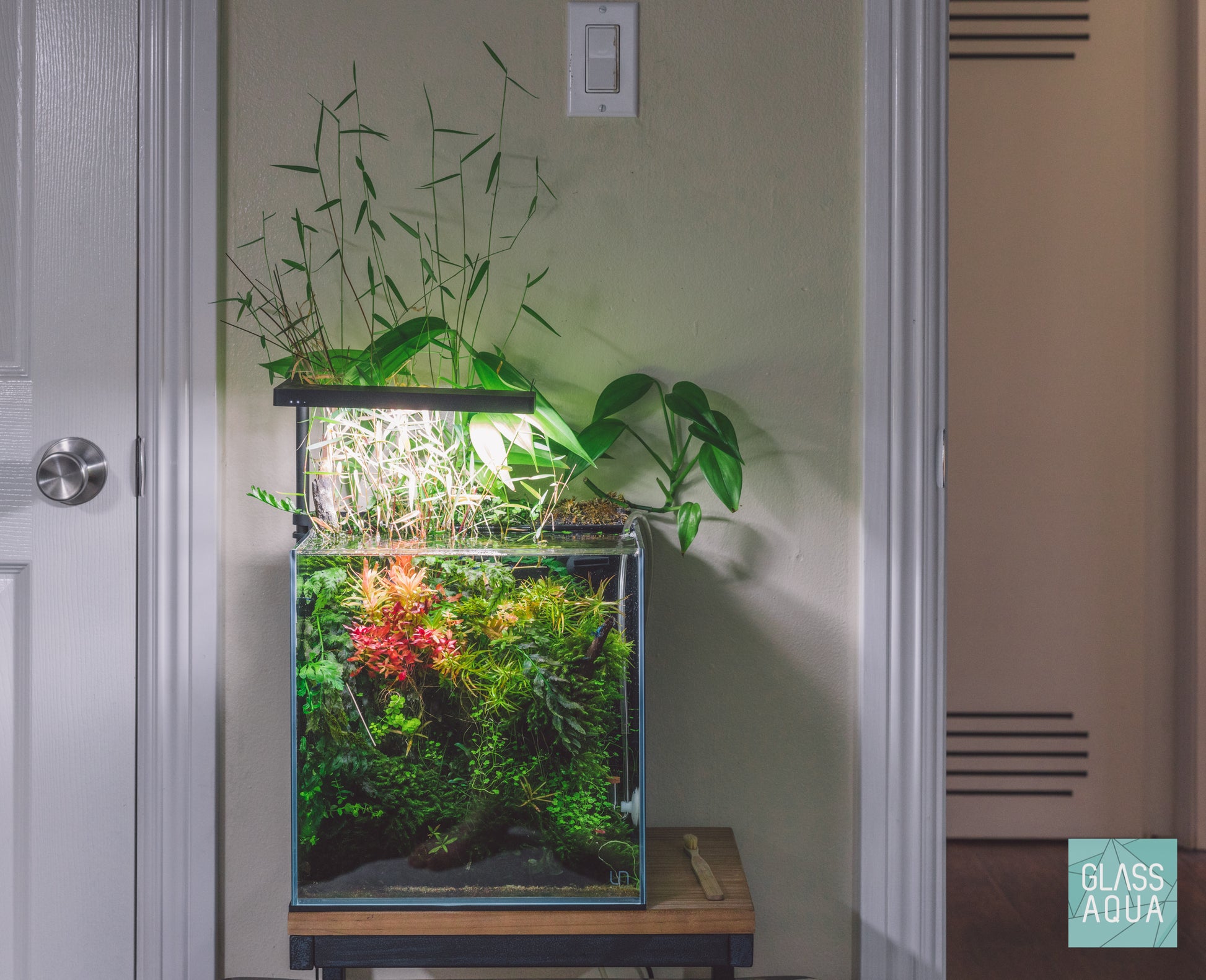 All-In-One Planted Aquarium Kit - Cube - Glass Aqua