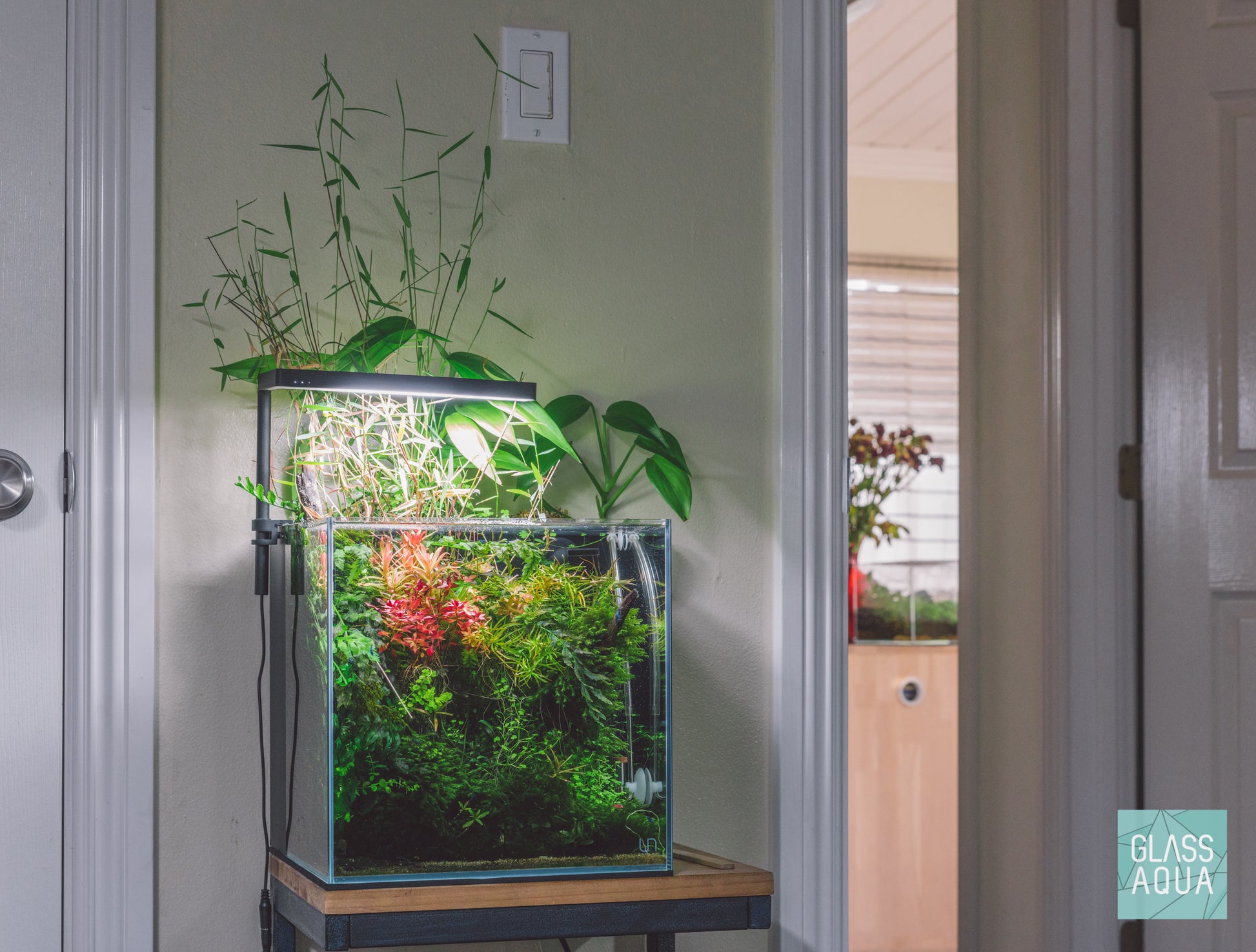 Build Your Own Aquarium Kit - All In One Tank - Glass Aqua