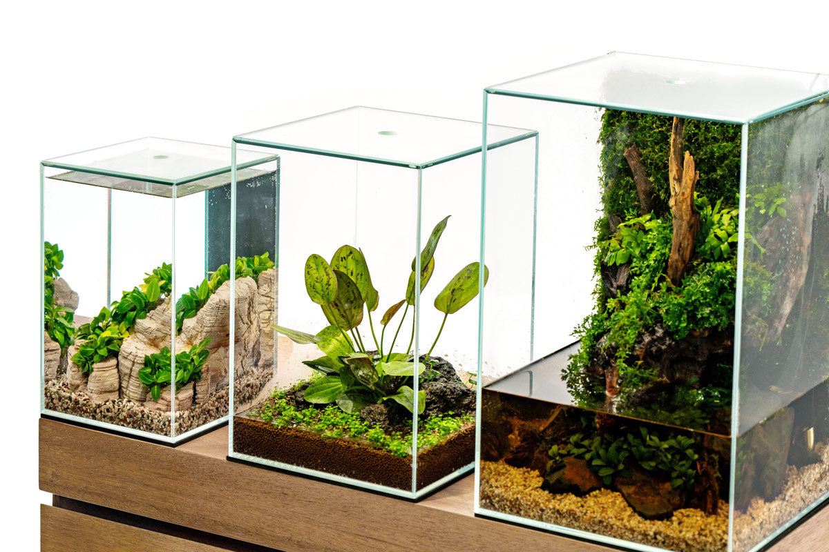 Ultum Nature Systems UNS 20TM 25TM 30TM Prism Paludarium Terrarium Aquarium Planter 