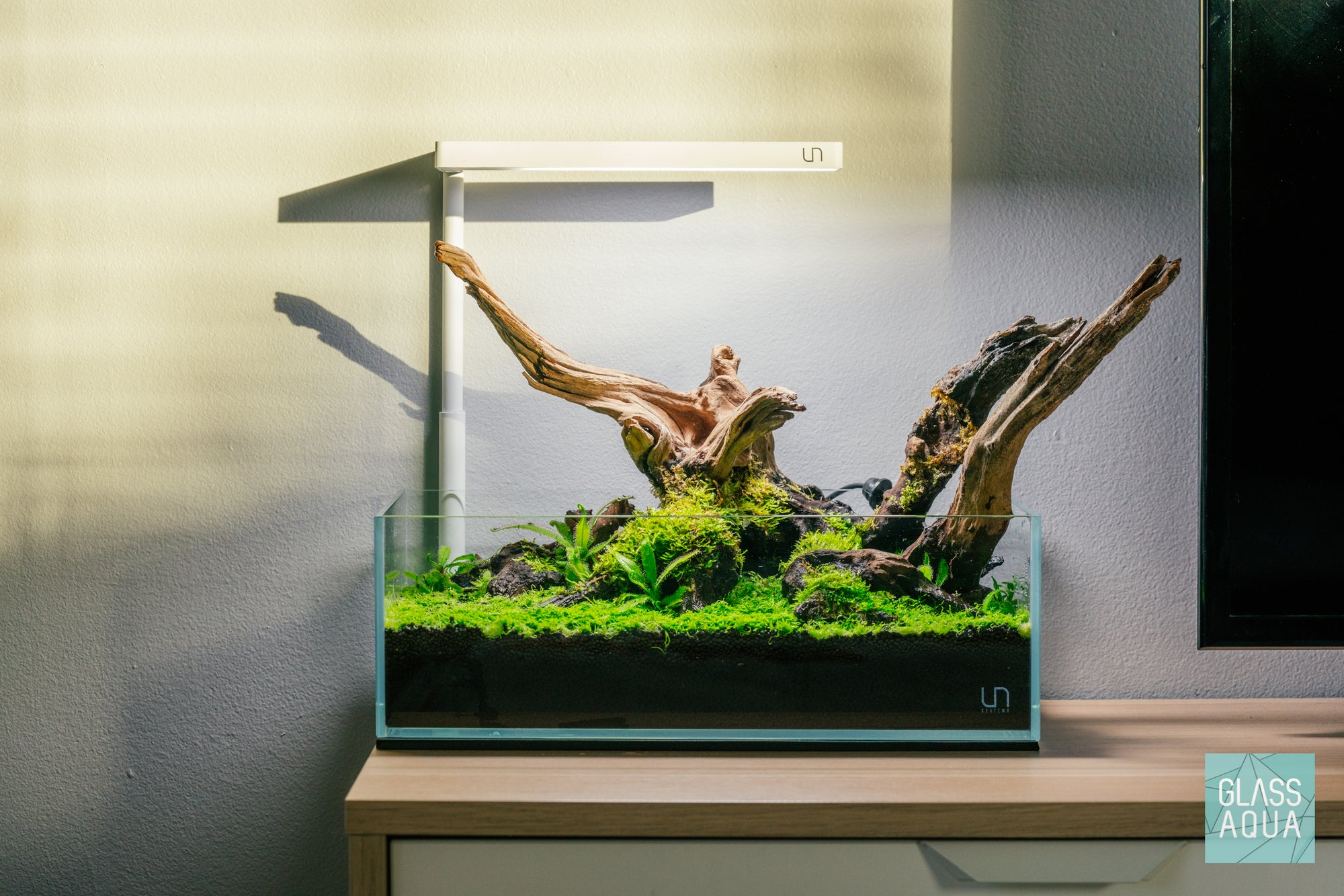 Nano shallow planted tank with driftwood, Utricularia graminifolia and Drosera species by Glass Aqua