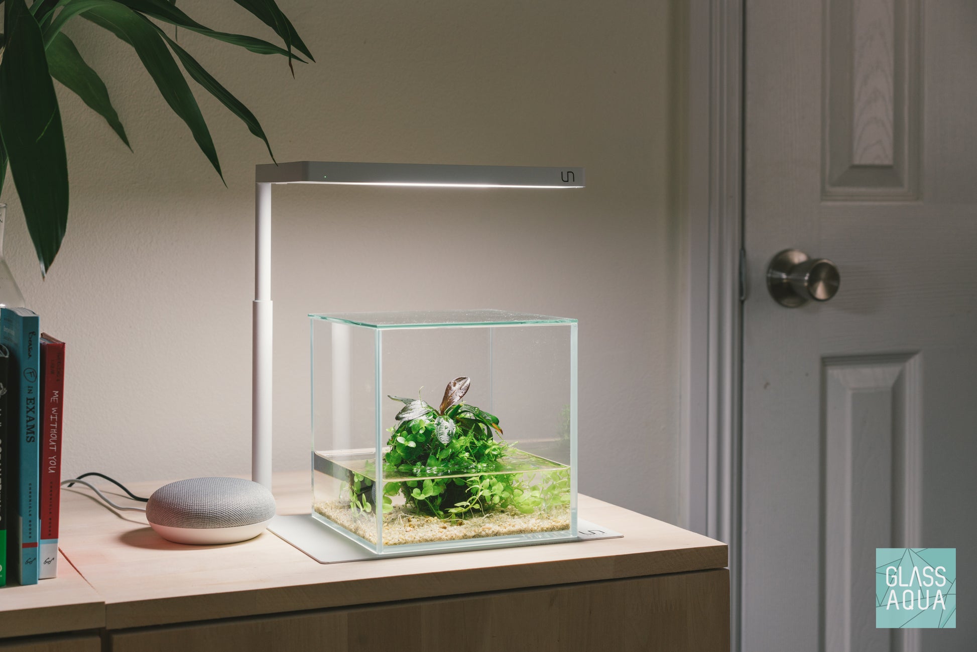 Build Your Own Wabi Kusa Tank