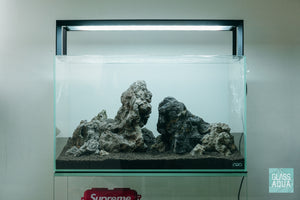 Iwagumi aquascape in ADA 60P rimless glass aquarium by Glass Aqua