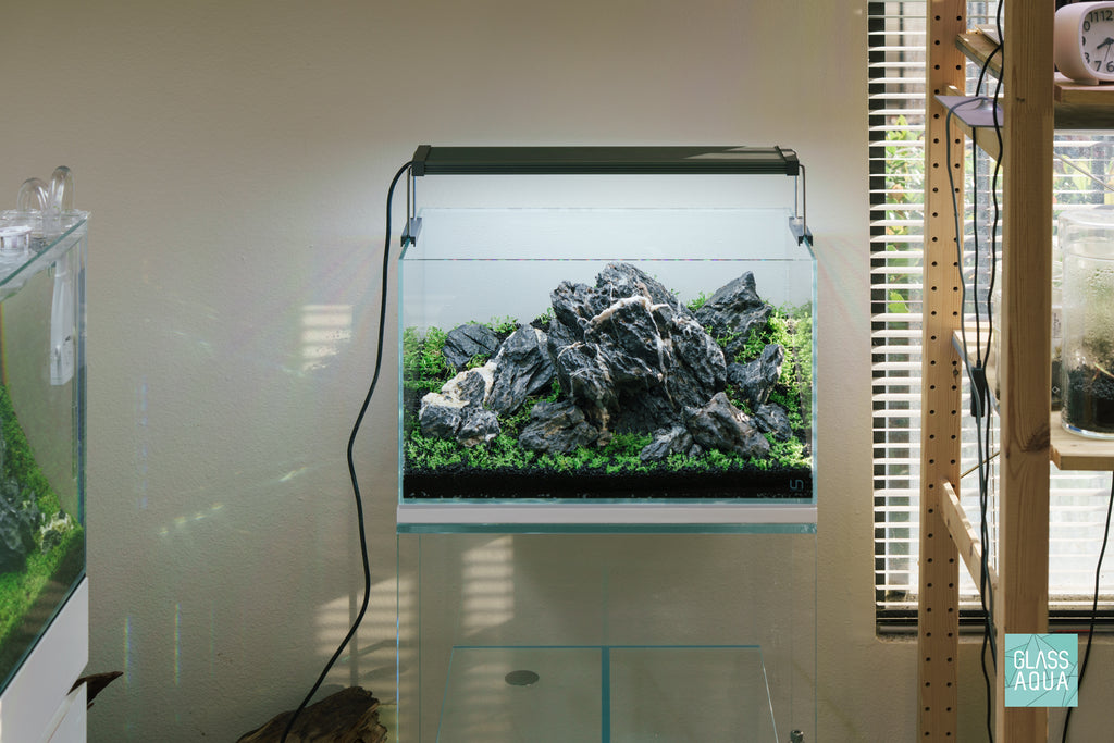 Iwagumi aquascape in an Ultum Nature Systems 45U rimless aquarium