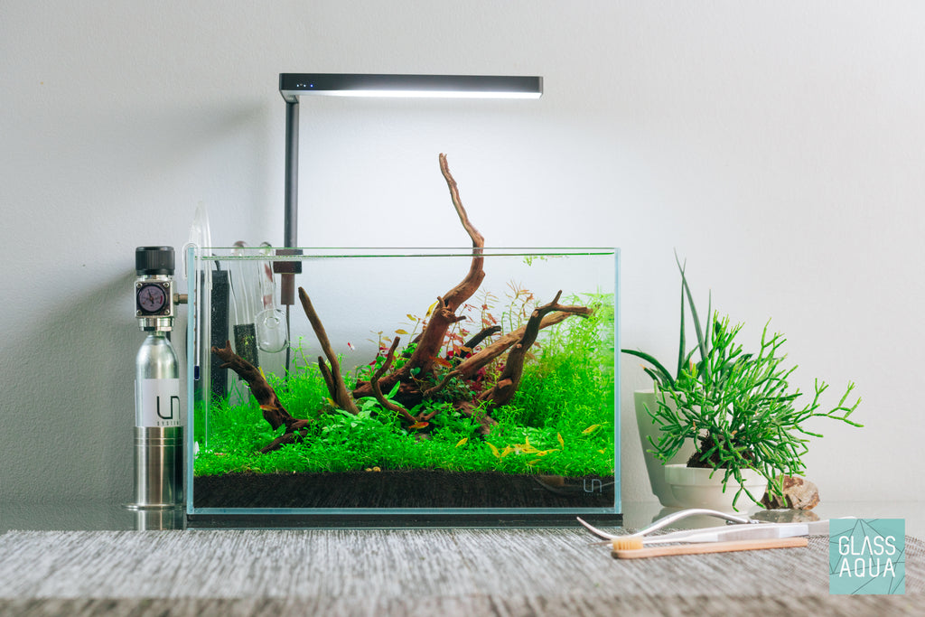 Build Your Own Aquarium - Shrimp Tank