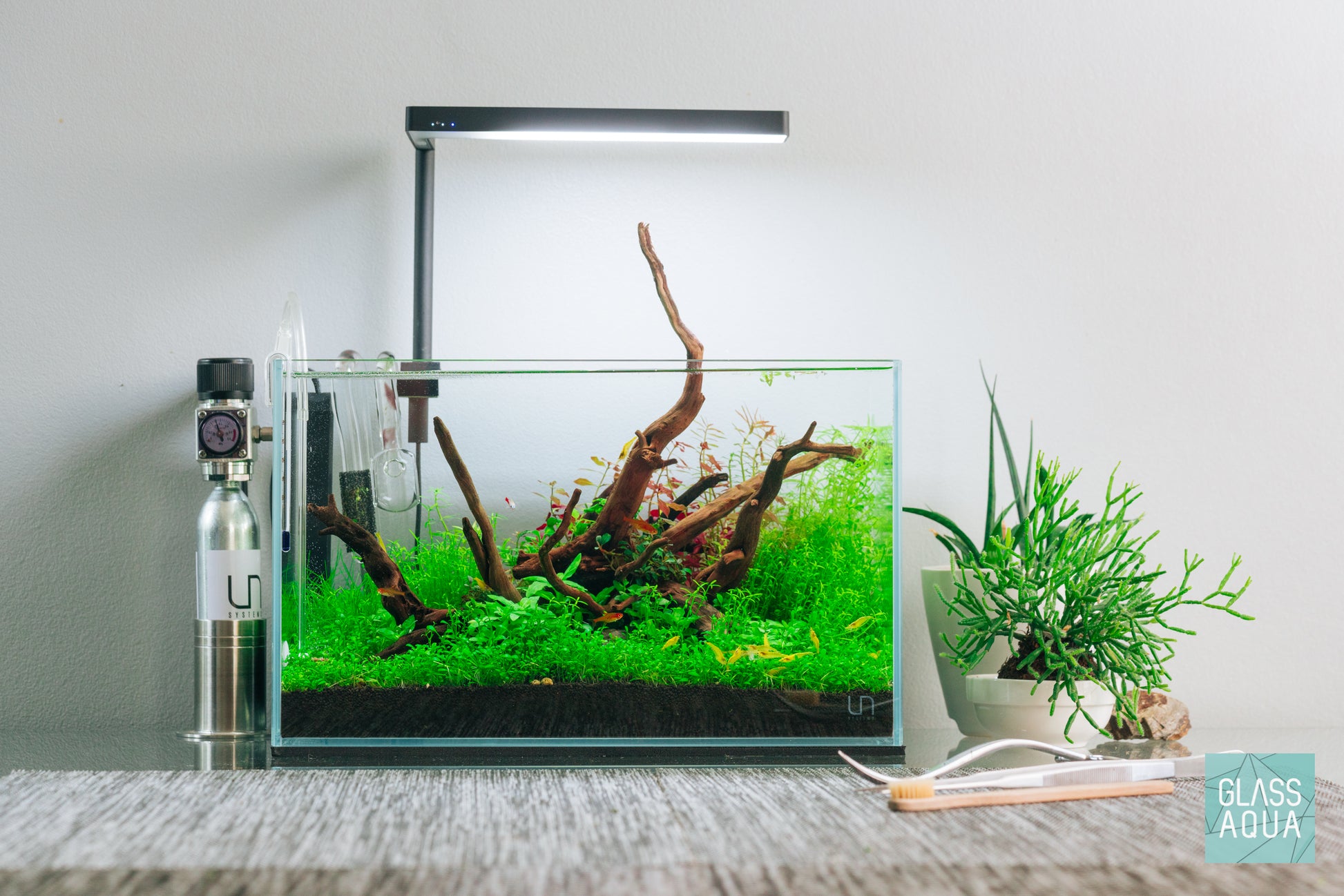 Build Your Own Aquarium - Shrimp Tank
