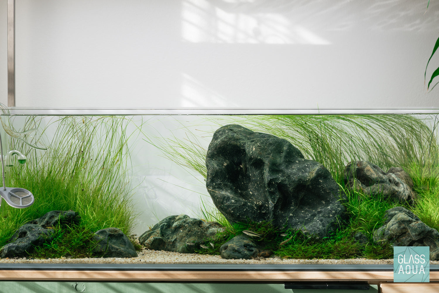 Ultum Nature Systems UNS 90L 20 gallon Long Rimless Glass Aquarium Tank Iwagumi Aquascape