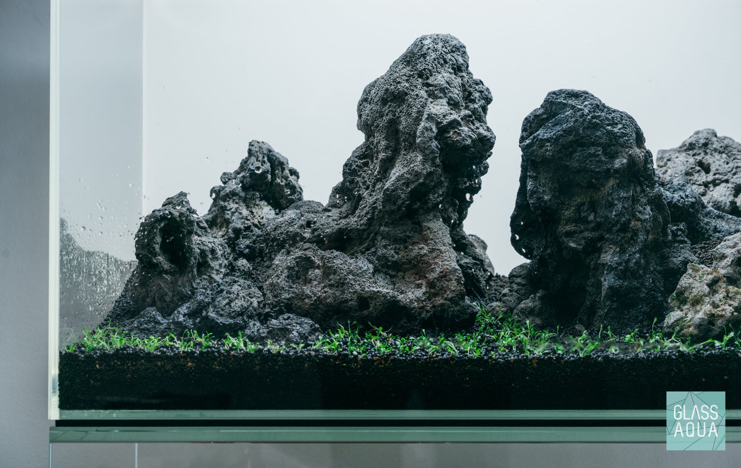 Jurassic - ADA 60P Iwagumi Aquarium | Glass Aqua