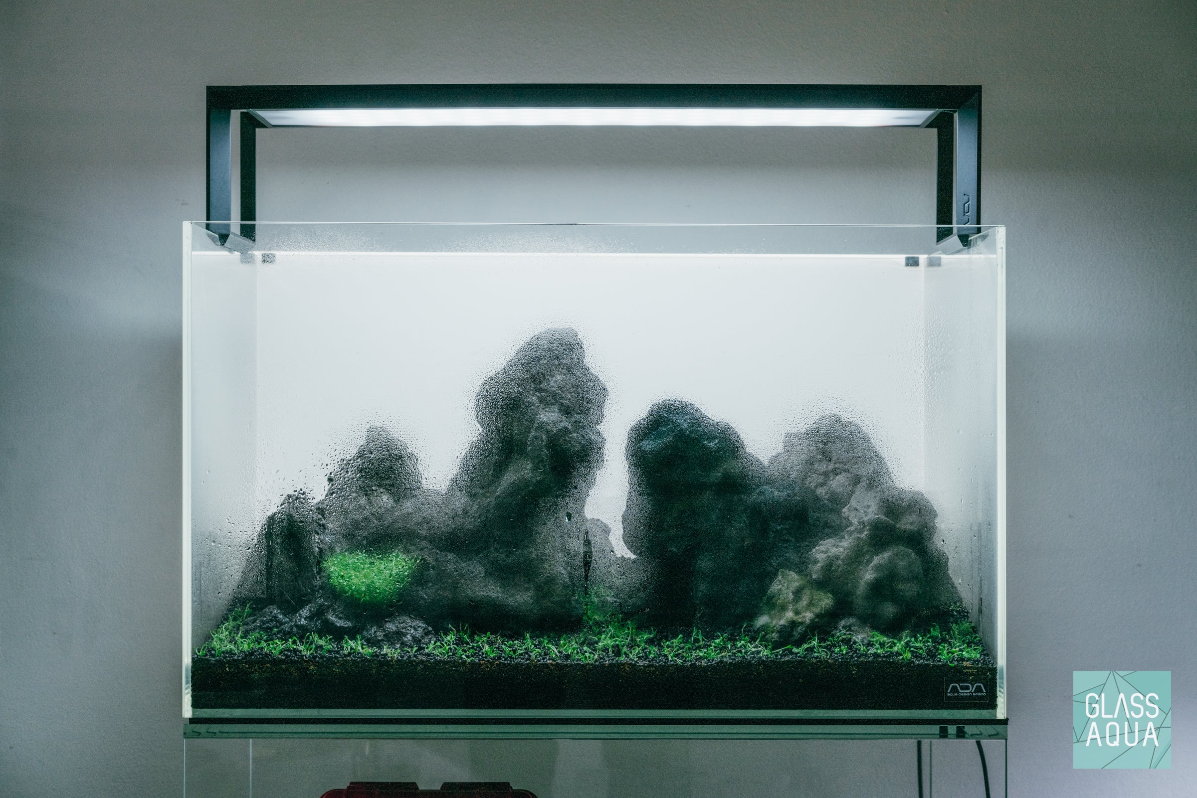 Jurassic - ADA 60P Iwagumi Aquarium | Glass Aqua