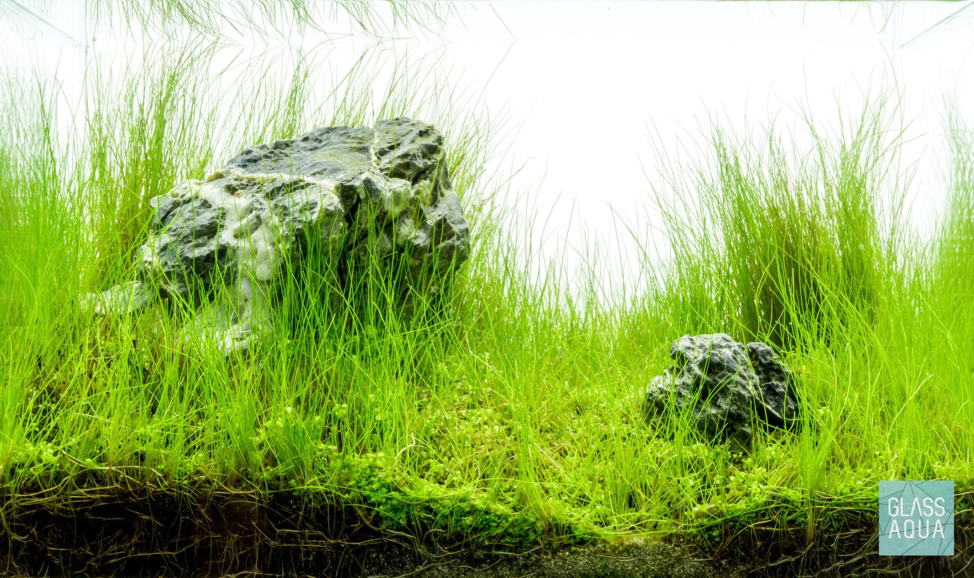 Build Your Own Aquarium Kit - Nano Tank - Glass Aqua