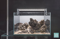 Iwagumi aquascape layout with Icelandic Lava Stone by Glass Aqua