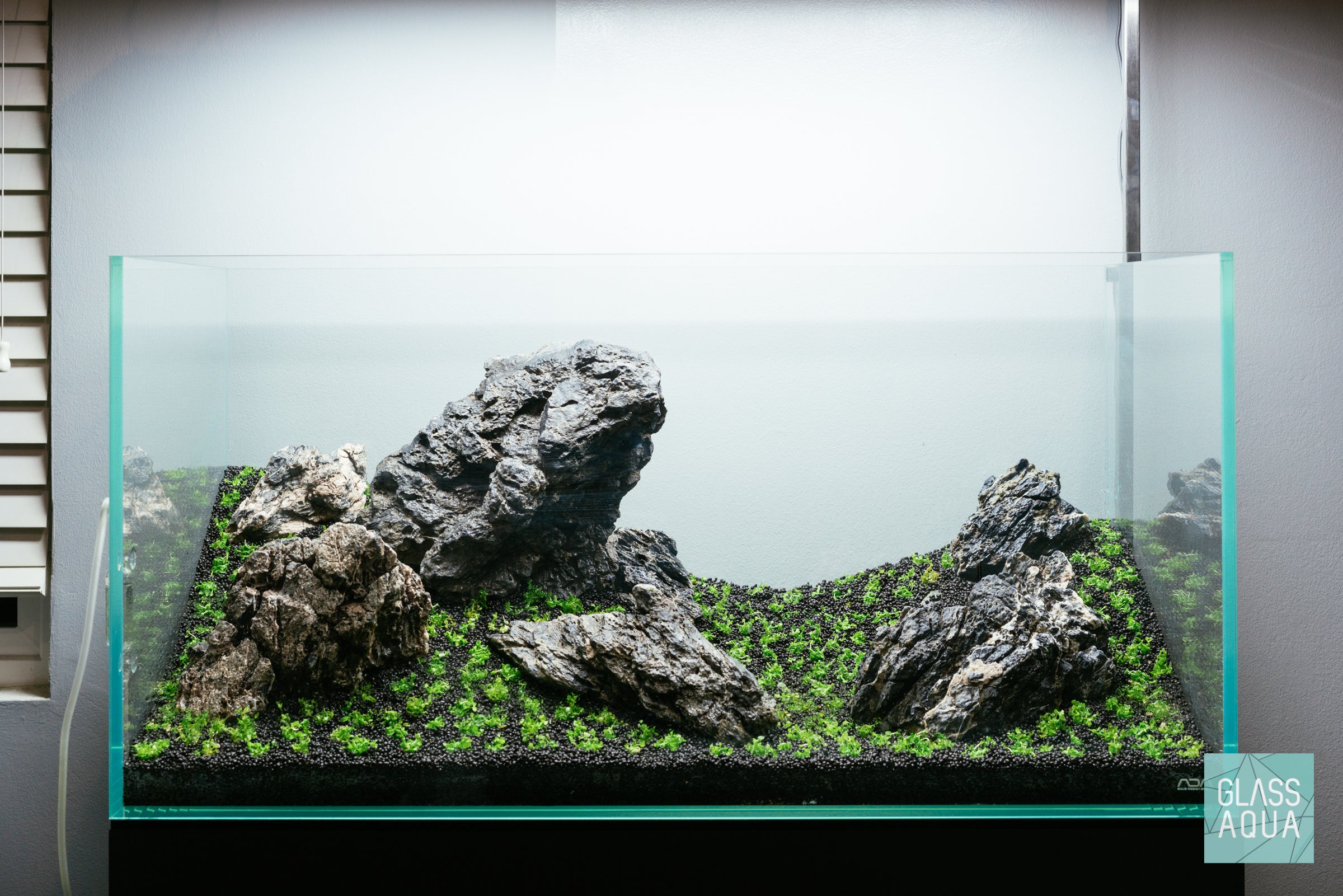 Grey Mountain Valley - ADA 90P Iwagumi | Glass Aqua