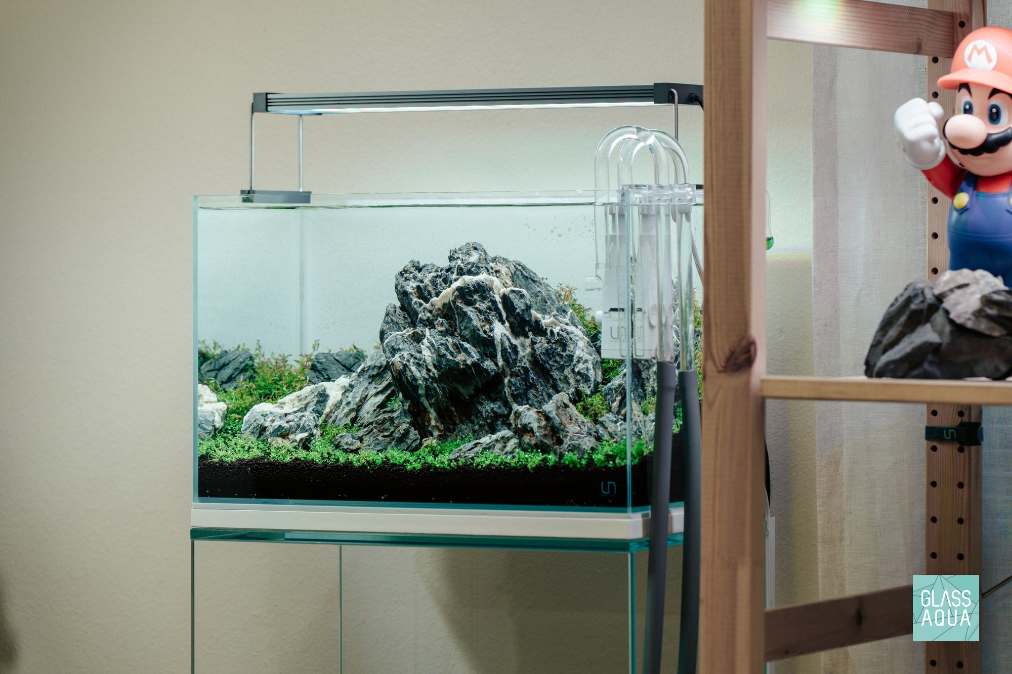 Iwagumi Aquarium Stem Tank UNS 45U 9.3 Gallon Planted Aquarium
