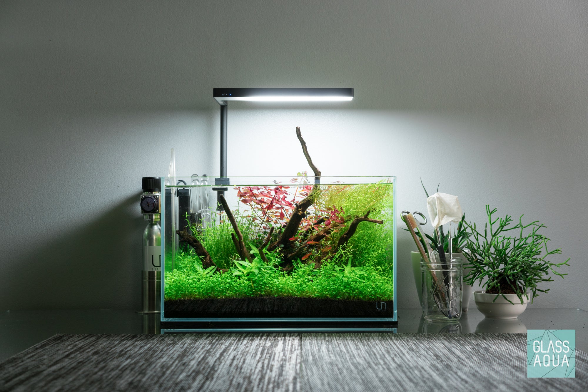 Nature style planted tank in the UNS 5N nano aquarium - Glass Aqua
