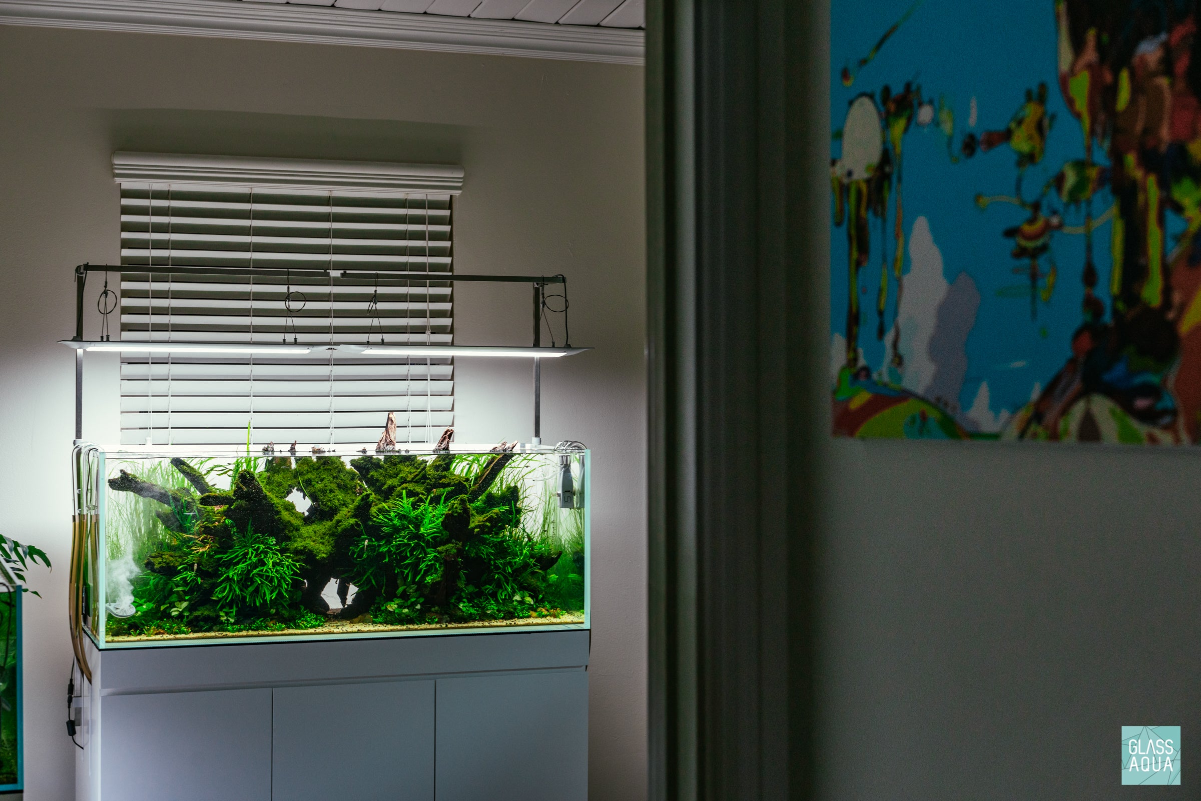 Phoenix Rising - ADA 120P Planted Aquarium | Glass Aqua
