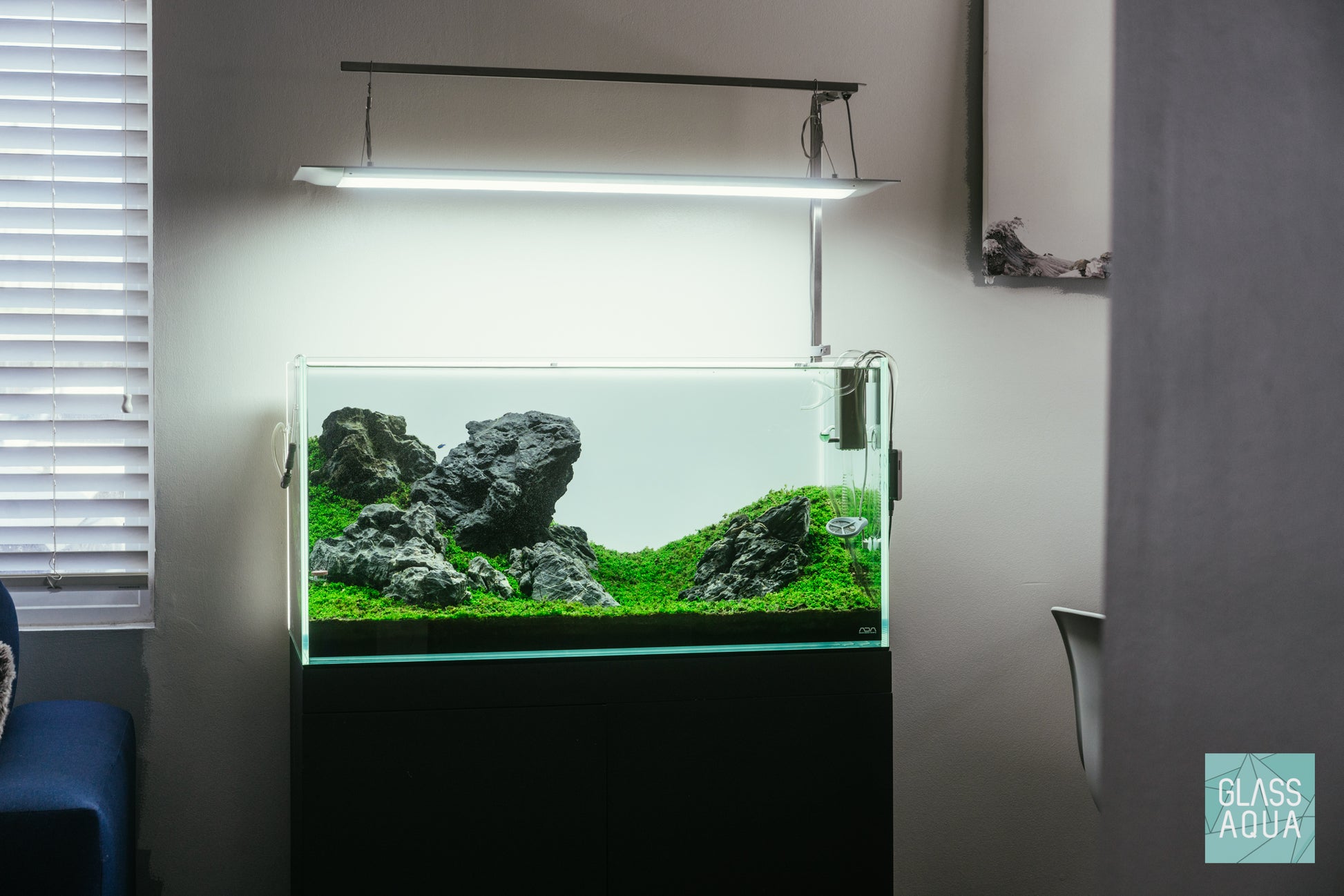 Plant Pile - Iwagumi Aquarium Plant Bundle - Glass Aqua