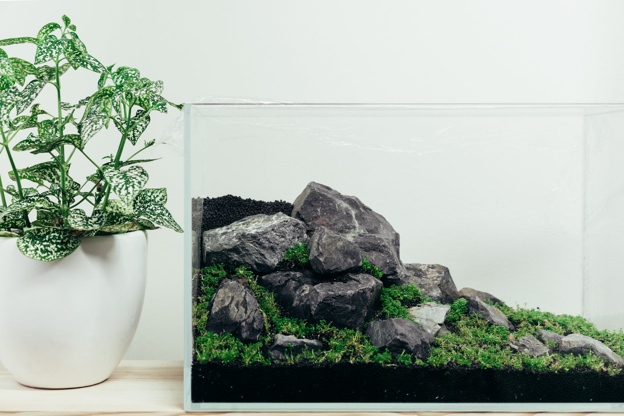 UNS 5N Nano Rimless Tank Hardscape Layout