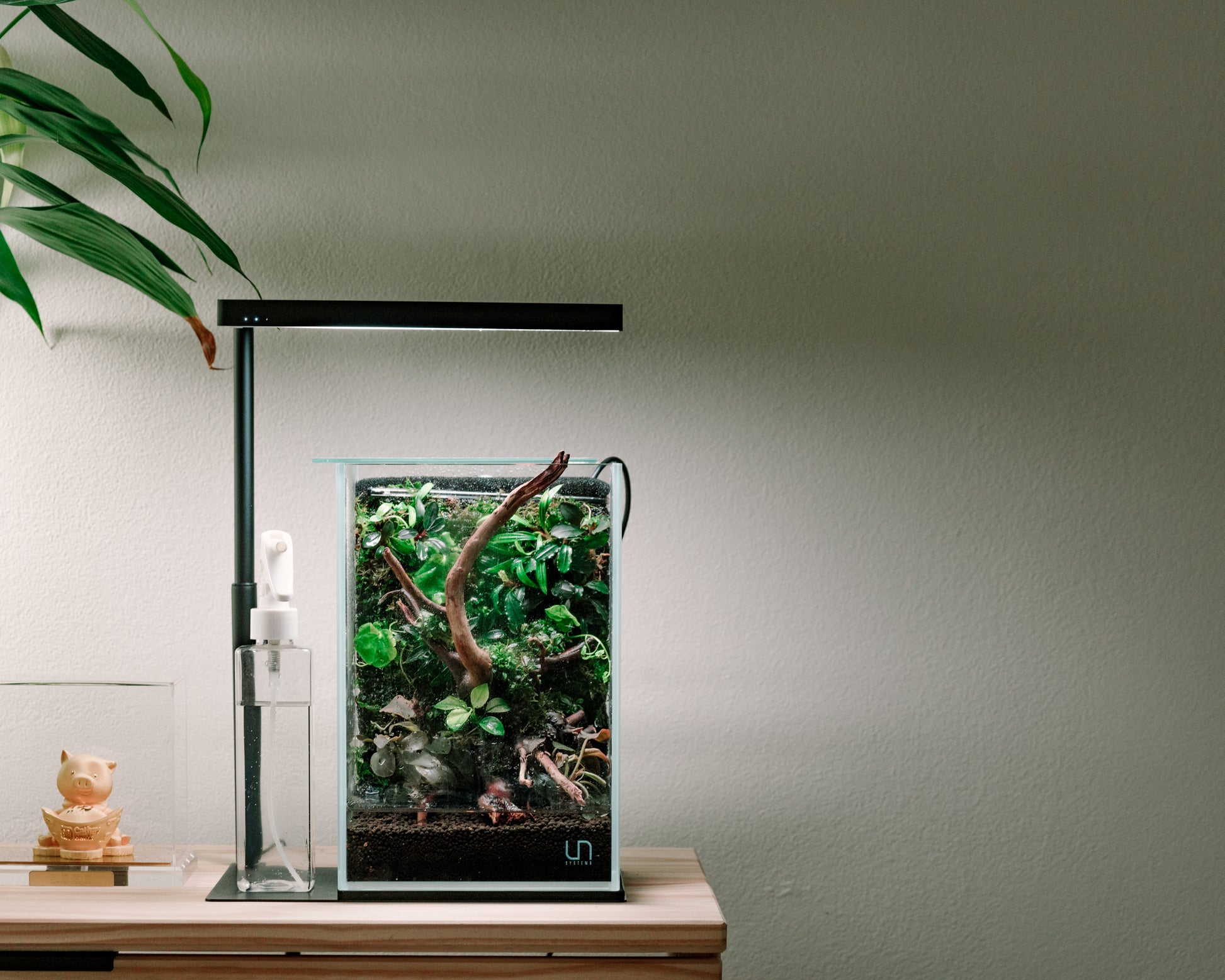 Small rimless tank terrarium with live aquarium plants