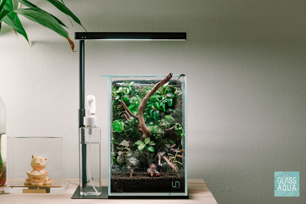 UNS Tall Aquarium & Glass Lid Bundle