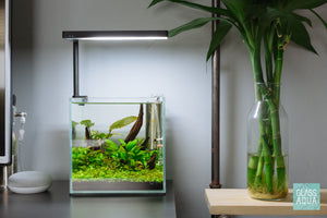 UNS 20C nano planted tank by Glass Aqua