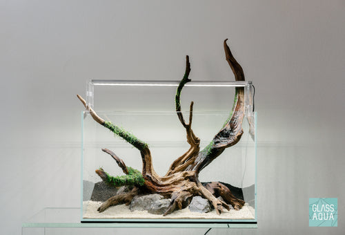 Build Your Own Nature Style Hardscape