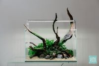 Ultum Nature Systems UNS 45U Nature Aquarium Planted Tank