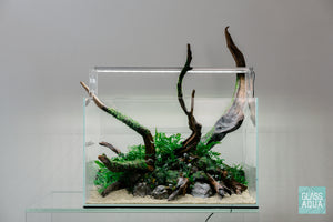 Ultum Nature Systems UNS 45U Nature Aquarium Planted Tank
