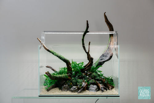 Ultum Nature Systems UNS 45U Nature Aquarium Planted Tank