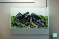 Ultum Nature Systems 60U Brazilian Style Iwagumi Aquascape Planted Aquarium Tank