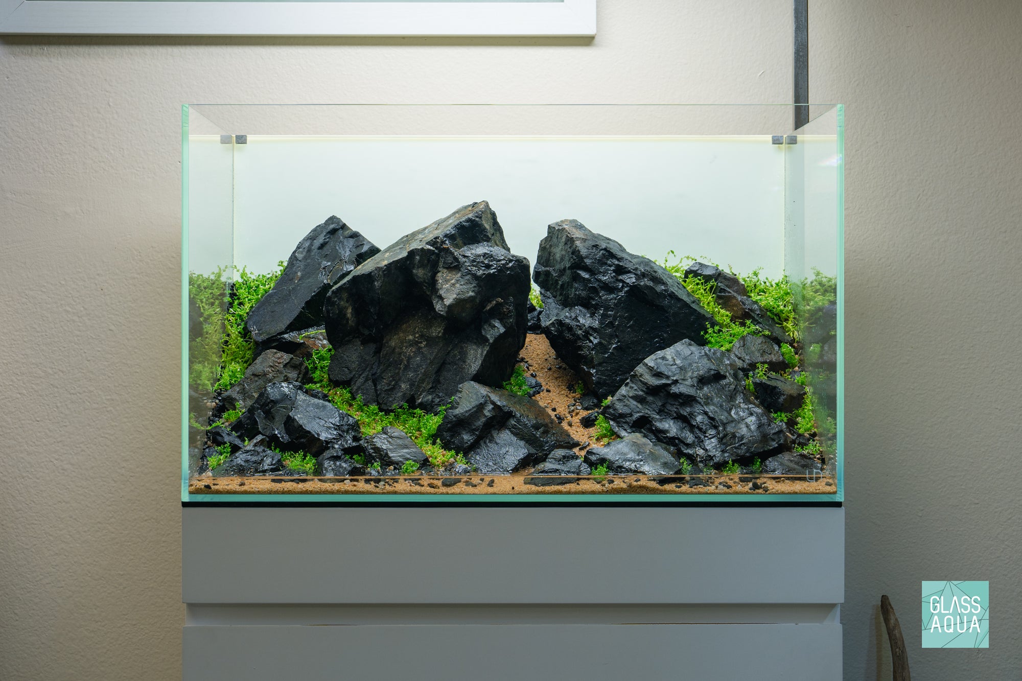 Ultum Nature Systems 60U Brazilian Style Iwagumi Aquascape Planted Aquarium Tank