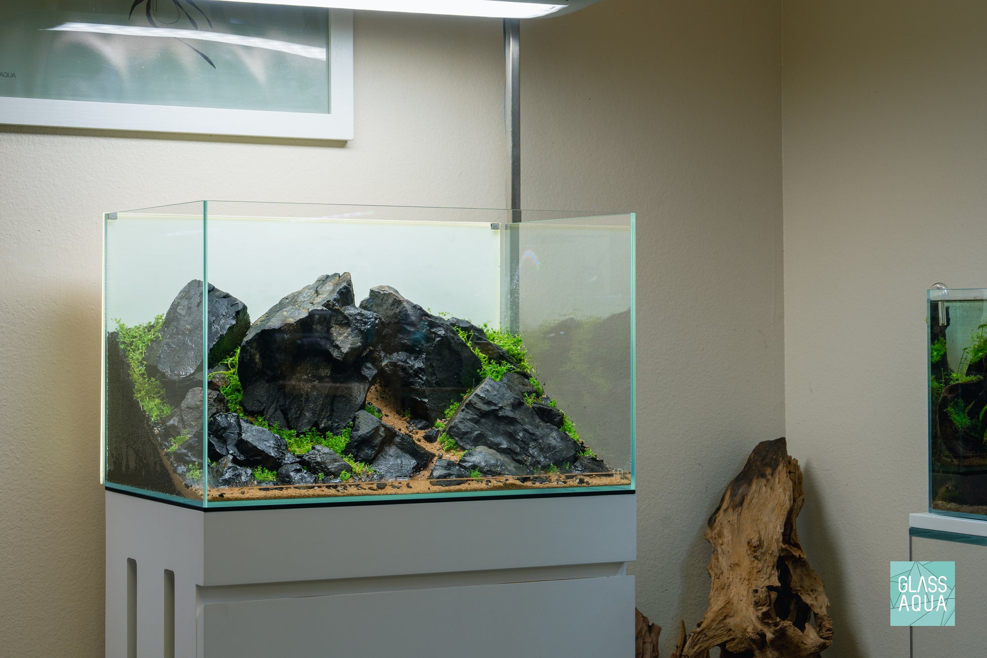 Ultum Nature Systems 60U Brazilian Style Iwagumi Aquascape Planted Aquarium Tank