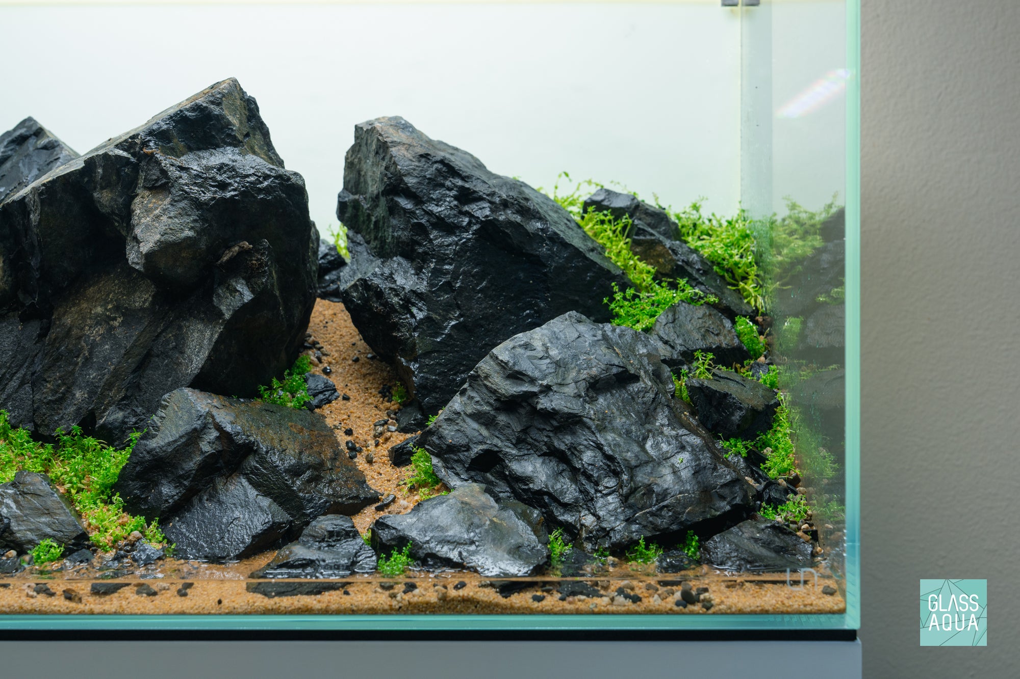 Ultum Nature Systems 60U Brazilian Style Iwagumi Aquascape Planted Aquarium Tank