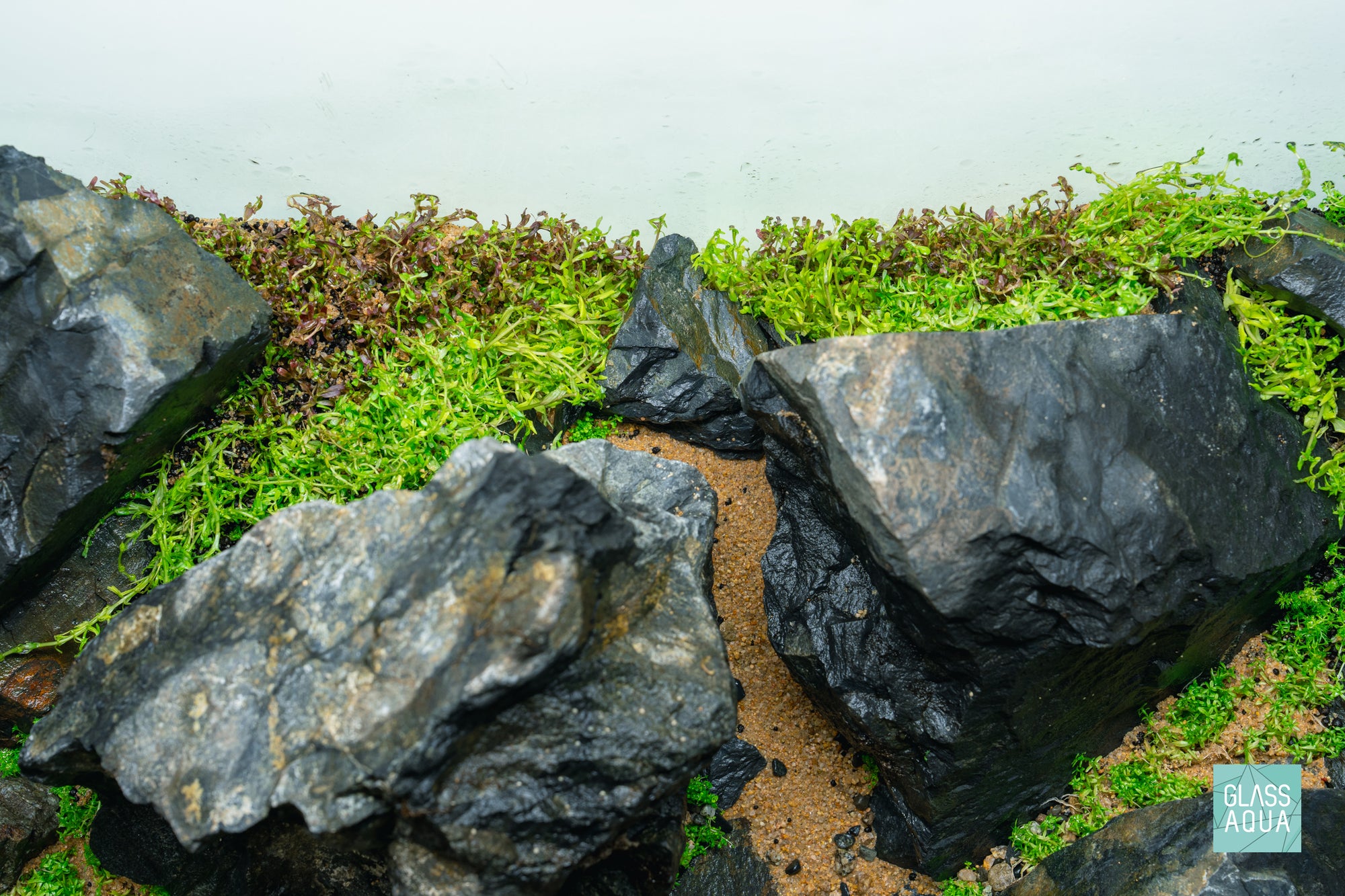 Ultum Nature Systems 60U Brazilian Style Iwagumi Aquascape Planted Aquarium Tank