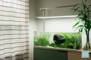 UNS 90L Iwagumi planted aquarium by Glass Aqua