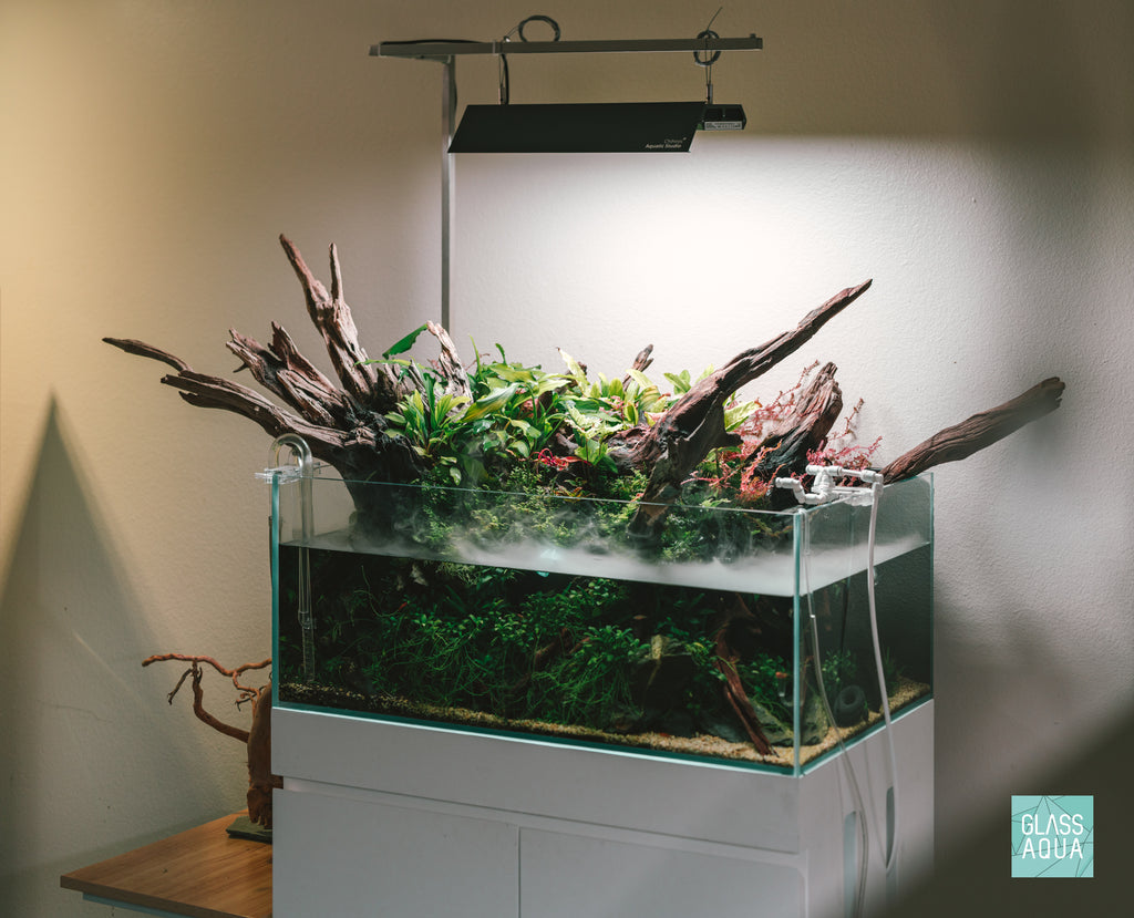 Ultum Nature Systems UNS 75S Shallow Rimless Glass Aquarium Tank Paludarium Aquascape