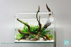 UNS 45U planted aquarium by Glass Aqua