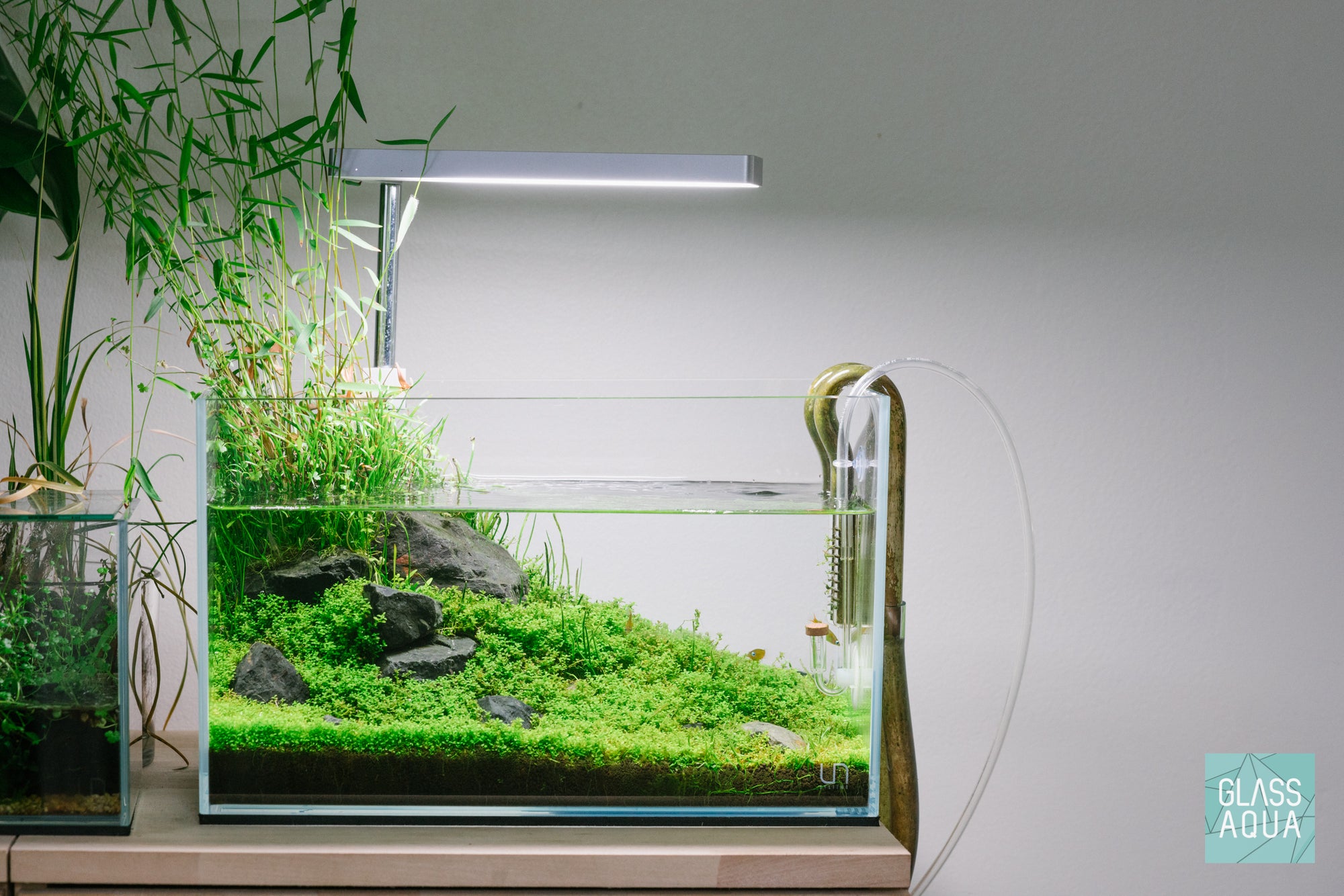 Minimalist Pond-Inspired Aquascape in UNS 5N Nano Rimless Aquarium