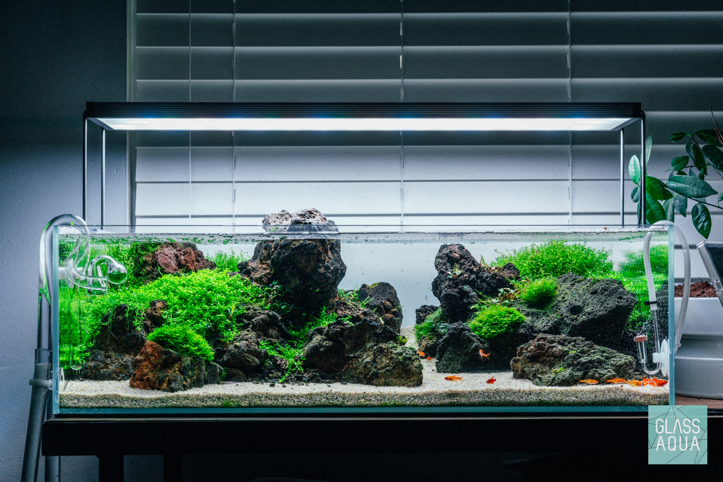 Ultum Nature Systems UNS 60S Shallow planted rimless aquarium tank iwagumi with lava rock