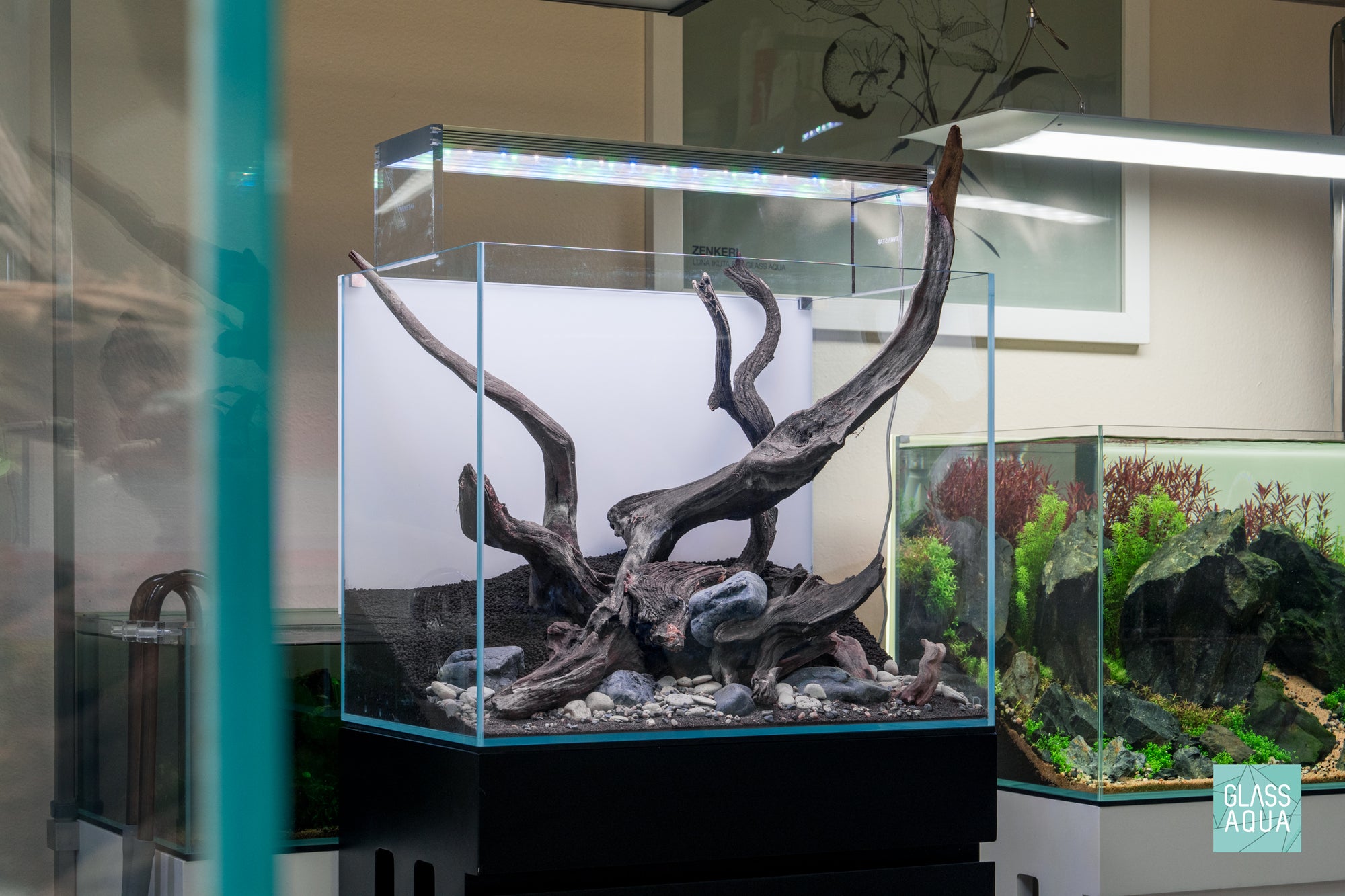 Forest Grove - Ultum Nature Systems 45T aquascape with Malaysian Driftwood and Hakkai Stone by Glass Aqua