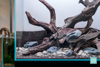 Forest Grove - Malaysian Driftwood and Hakkai Stone with UNS aquarium substrates by Glass Aqua