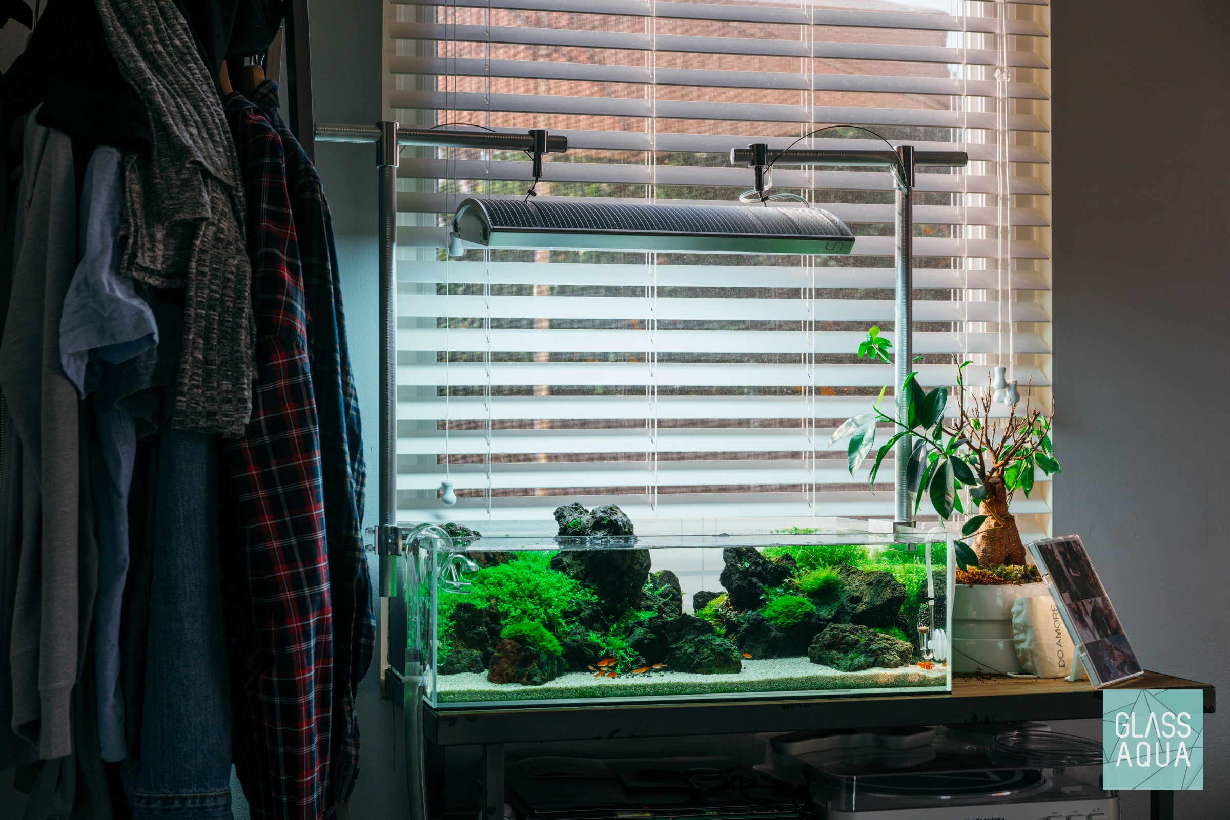 Ultum Nature Systems UNS 60S Shallow planted rimless aquarium tank iwagumi with lava rock