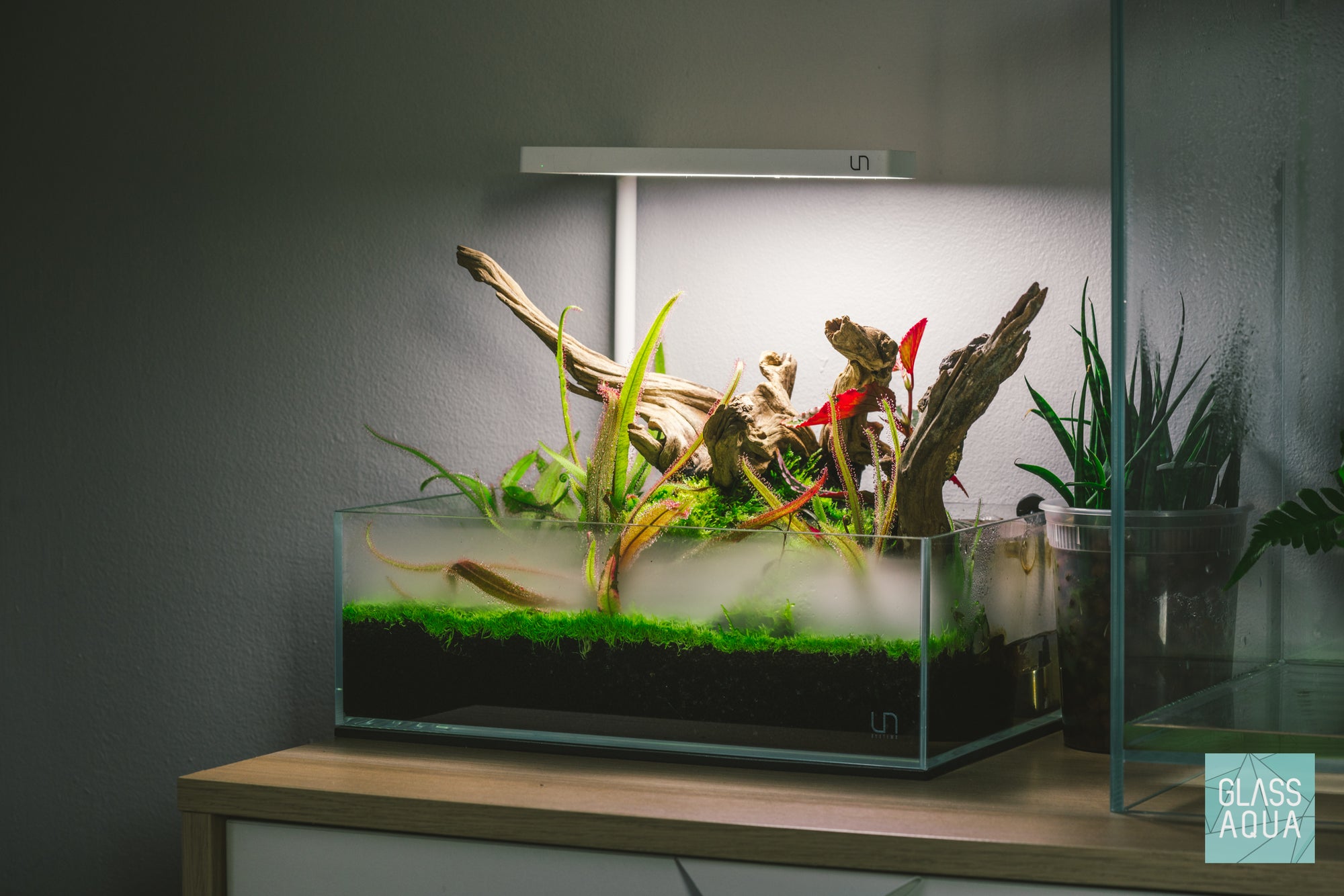 Ultum Nature Systems UNS 5S Shallow nano planted aquarium bog tank for Carnivorous plants