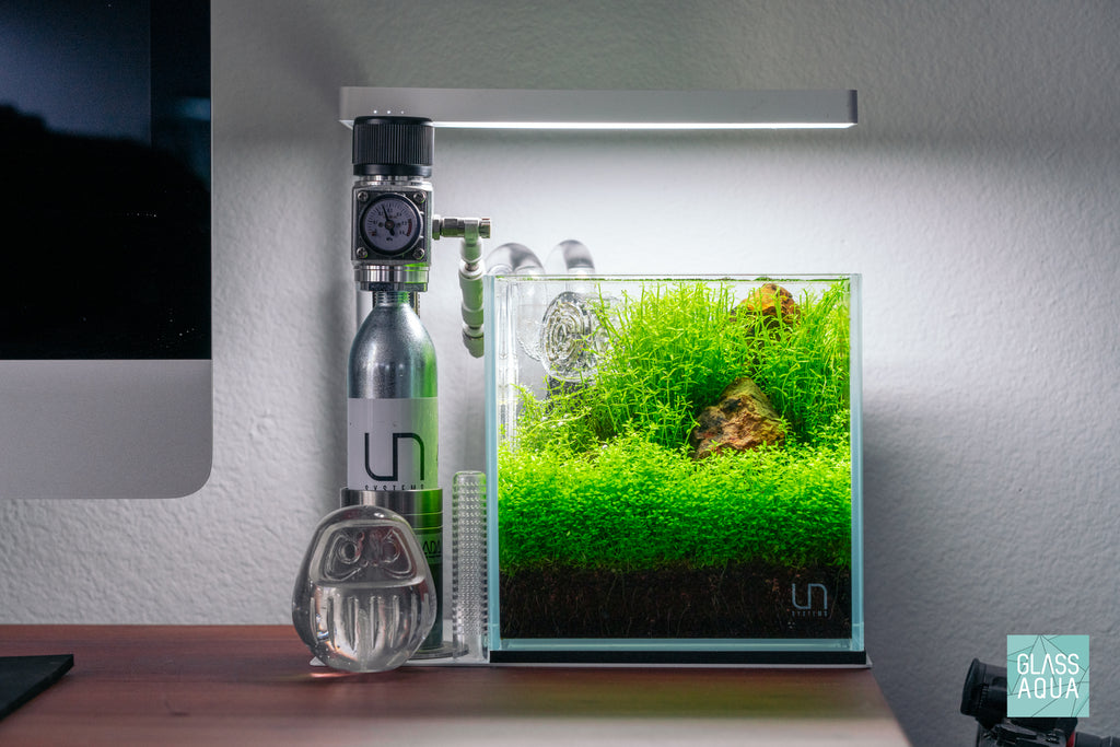 Ultum Nature Systems UNS 16C cube nano planted rimless aquarium tank iwagumi