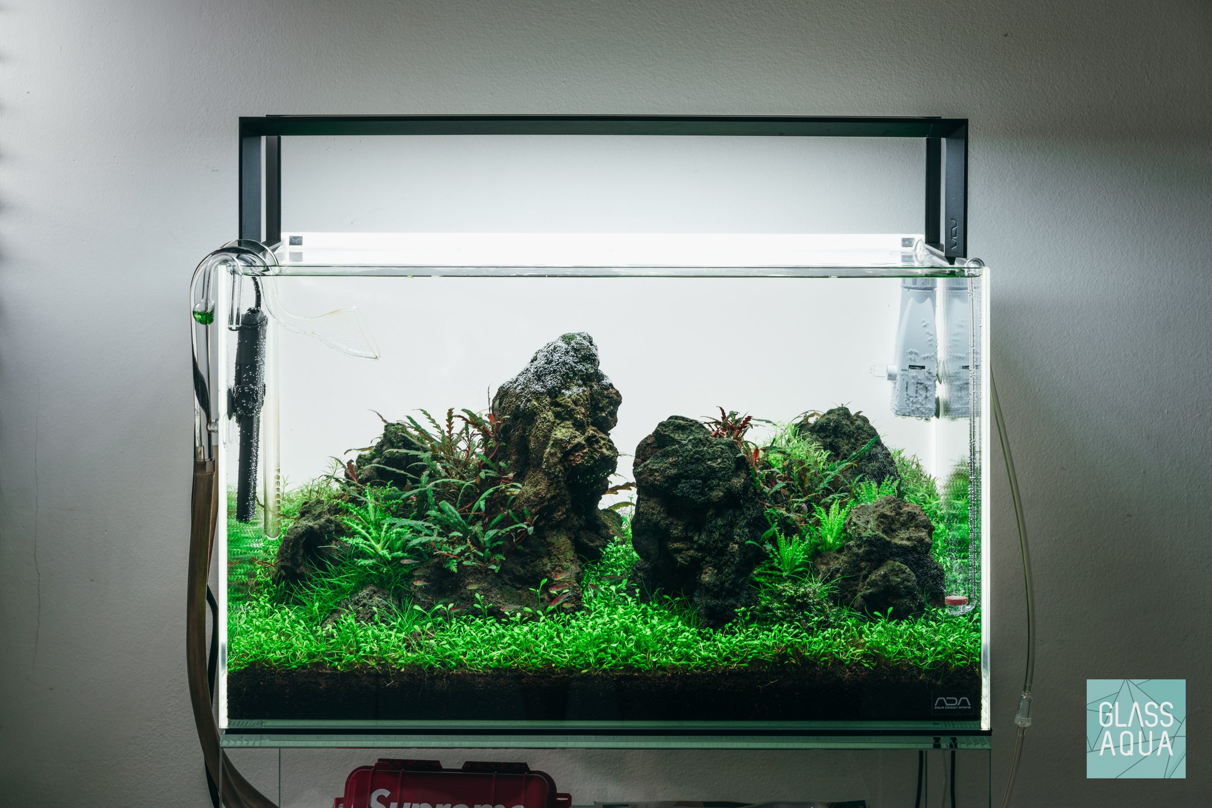 Jurassic - ADA 60P Iwagumi Aquarium | Glass Aqua