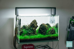 Iwagumi planted aquarium in ADA 60P rimless glass tank by Glass Aqua