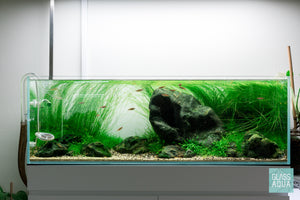 Ultum Nature Systems UNS 90L 20 gallon Long Rimless Glass Aquarium Tank Iwagumi Aquascape